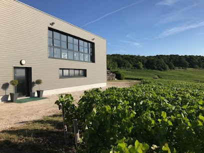 Champagne Depoivre Alain, Vignoble à Vindey