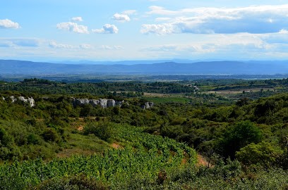 Domaine Les Combes Cachées, Vignoble à Siran