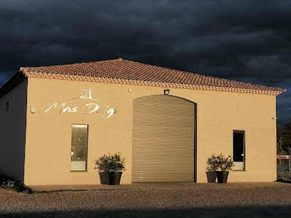 Mas Delgi - Relais Agrikolis & Domaine Viticole à Tourbes, Vignoble à Tourbes