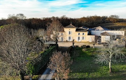 Château Bussac, Vignoble à Vayres