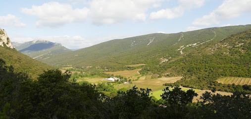 Domaine Du Grand Arc, Vignoble à Cucugnan