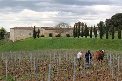 Vignobles Albert Schweitzer ( Château Saint Paul ), Vignoble à Saint-Paul