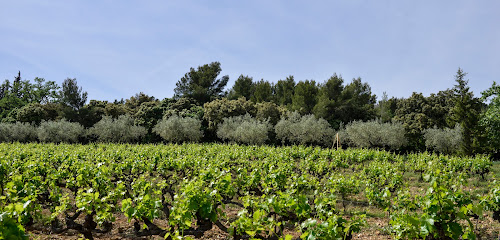 Domaine Chaume Arnaud Vignoble à Vinsobres