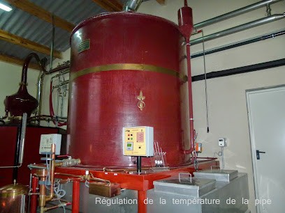 Cognac Joan Brisson, Vignoble à Matha