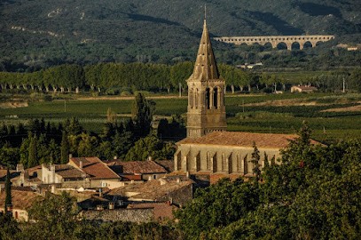 Domaine De L'Olivier, Vignoble à Saint-Hilaire-d'Ozilhan