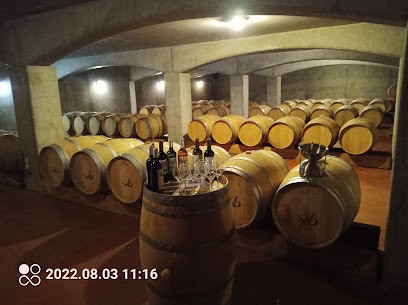 Vignobles Boissonneau, Vignoble à Saint-Michel-de-Lapujade