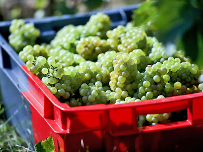 Vignoble Du Haut Escaut, Vignoble à Bantouzelle