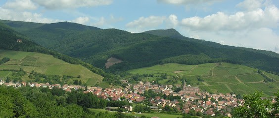 Domaine Schoenheitz, Vignoble à Wihr-au-Val