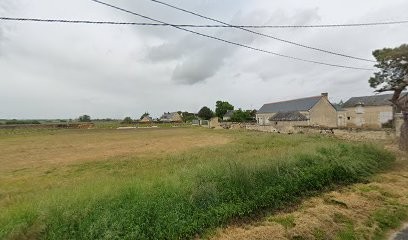 DOMAINE PONTONNIER , la Vignellière.VINS DE SAINT NICOLAS DE BOURGUEIL ET BOURGUEIL, Vignoble à Bourgueil