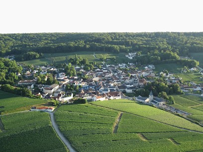 Champagne Rafflin-Lepitre, Vignoble à Chigny-les-Roses