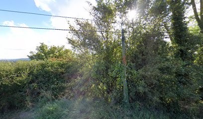 Le Croix de la Rose, Vignoble à Odenas
