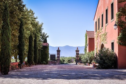 Domaine Du Mas Sauvy, Vignoble à Villeneuve-de-la-Raho