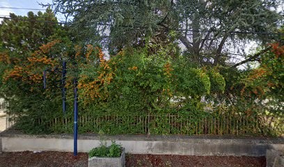 Château Saint Brice, Vignoble à Vignonet