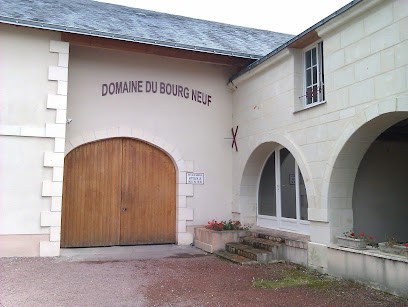 Domaine Du Bourg Neuf, Vignoble à Varrains