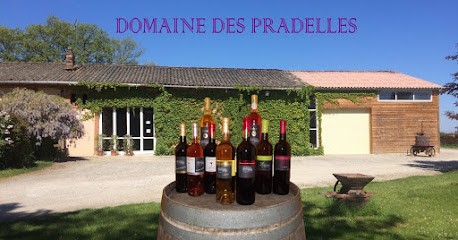 Domaine des Pradelles, Vignoble à Vacquiers