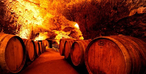 Domaine Des Roches Neuves, Vignoble à Varrains