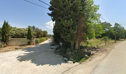Pépinières Bianchi Guigue, Vignoble à Sarrians