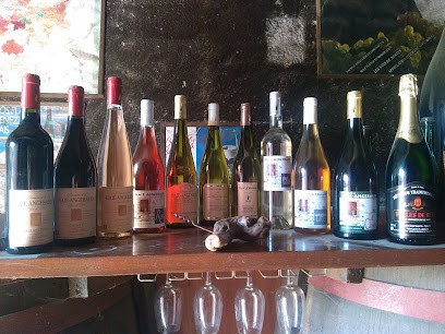 Gourvès André-Jean, Vignoble à Saint-Philbert-de-Grand-Lieu