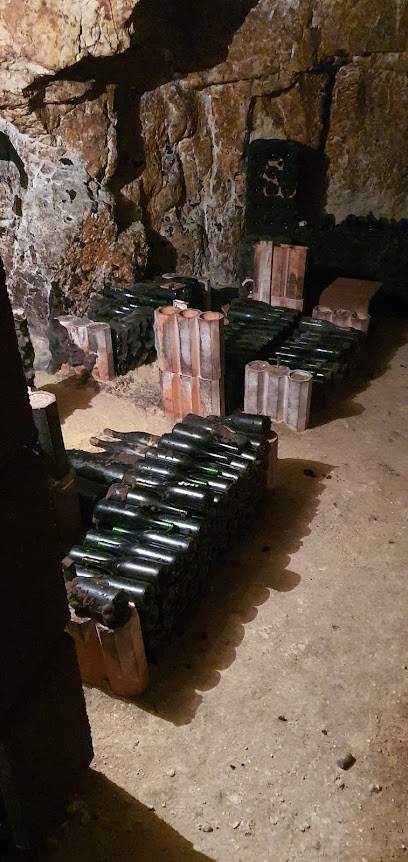 Domaine de la Cabernelle, Vignoble à Benais