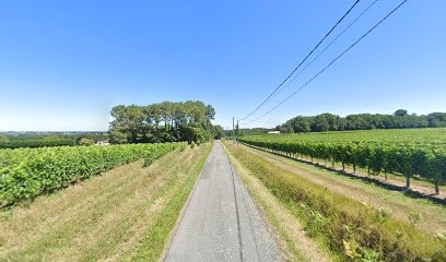 VINS CHETY - 33710, Vignoble à Saint-Trojan