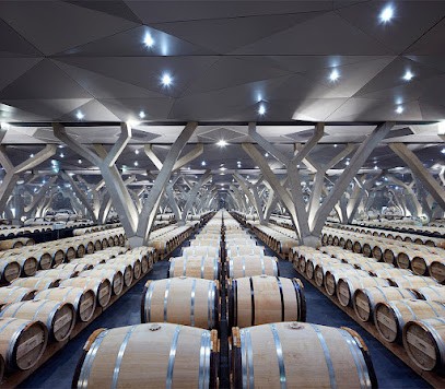 Château Talbot, Vignoble à Saint-Julien-Beychevelle