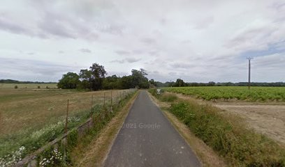 Earl B. De Goulaine, Vignoble à Corcoué-sur-Logne