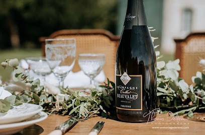 Champagne Collot-Beauvalet, Vignoble à Urville