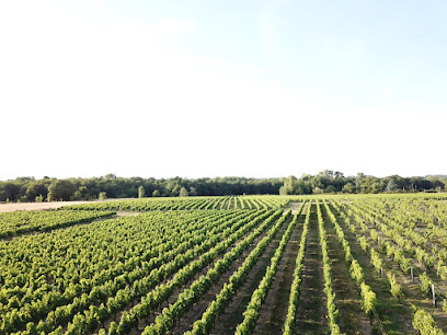 Château Lapourcaud Vignoble à Cézac