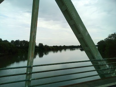 Gaec Bruel, Vignoble à Aigues-Mortes
