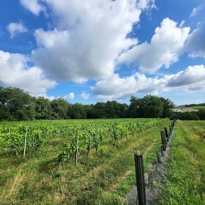 Clos De La Molénie, Vignoble à Ruch