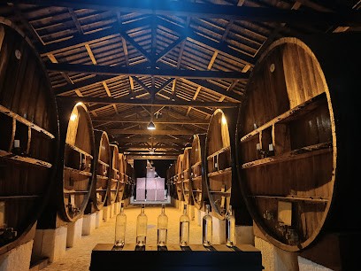 Royal Domain Jarras, Vignoble à Aigues-Mortes