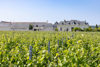 Domaine De La Cotelleraie Vignoble à Saint-Nicolas-de-Bourgueil