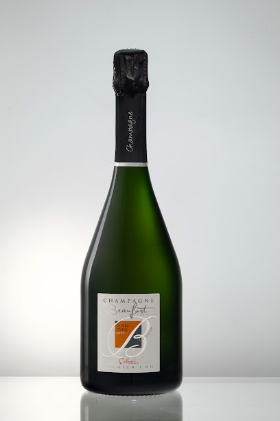 Champagne BEAUFORT Cyril, Vignoble à Trépail