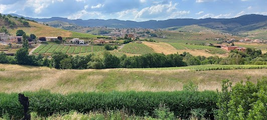 Chapeland Christian, Vignoble à Vaux-en-Beaujolais