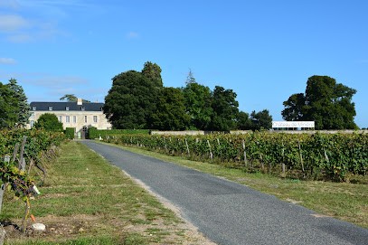 Chateau de Miniere, Vignoble à Benais