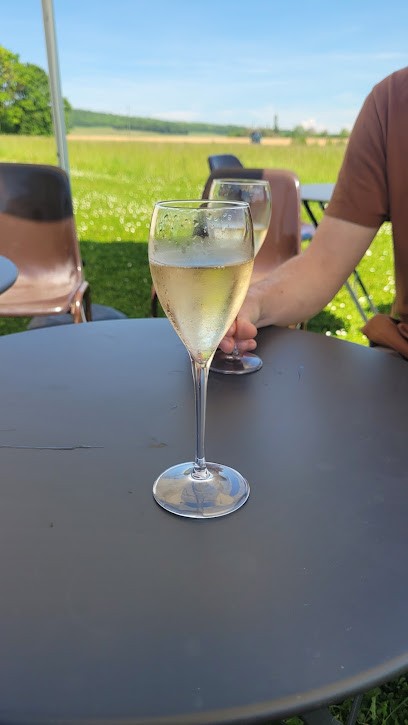 Champagne STEPHANE BRUNET, Vignoble à Val de Livre