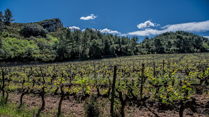 Aop Baux-De-Provence Vin Vignoble à Saint-Rémy-de-Provence