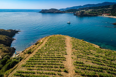 Les Clos De Paulilles - Domaine Viticole Vignoble à Port-Vendres