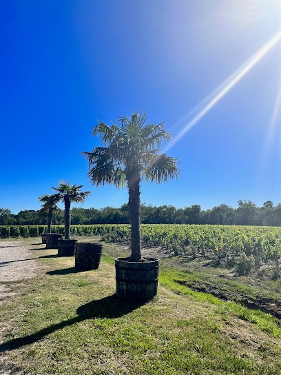 Château Bellerive, Vignoble à Valeyrac