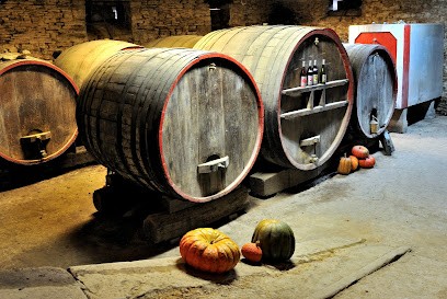 Maison Coquard, Vignoble à Theizé