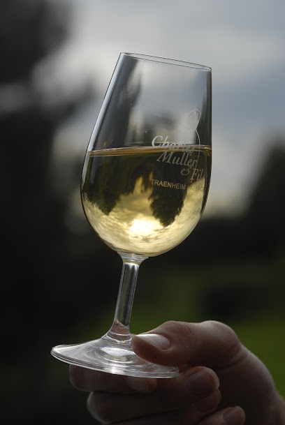 Charles Muller Et Fils, Vignoble à Traenheim