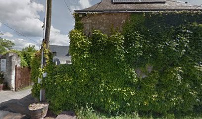 Thibault Michel, Vignoble à Bourgueil