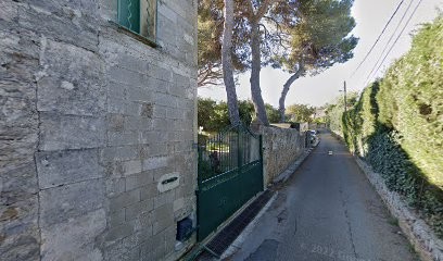 Poitevin Moreno Anita Leone Marie, Vignoble à Saint-Georges-d'Orques