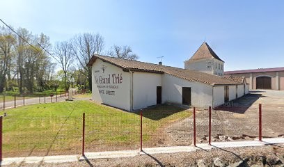 Le Grand Trié, Vignoble à Saint-Ciers-sur-Gironde