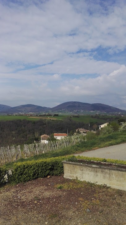 Earl Domaine Degache Freres, Vignoble à Tupin-et-Semons