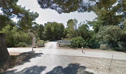 Domaine D'Aresquiers, Vignoble à Vic-la-Gardiole