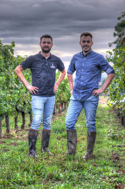 Domaine Billaud-Chambon Vignoble à Cesset