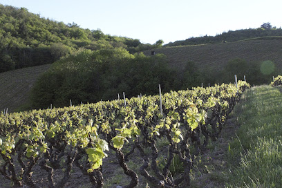 Aurélie Crozet Vignoble à Odenas