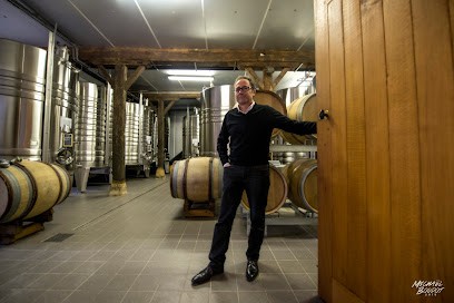 Champagne Hebrart, Vignoble à Aÿ-Champagne