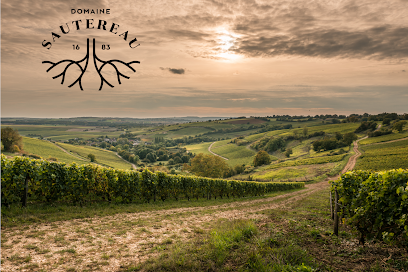 Domaine Sautereau Vignoble à Crézancy-en-Sancerre
